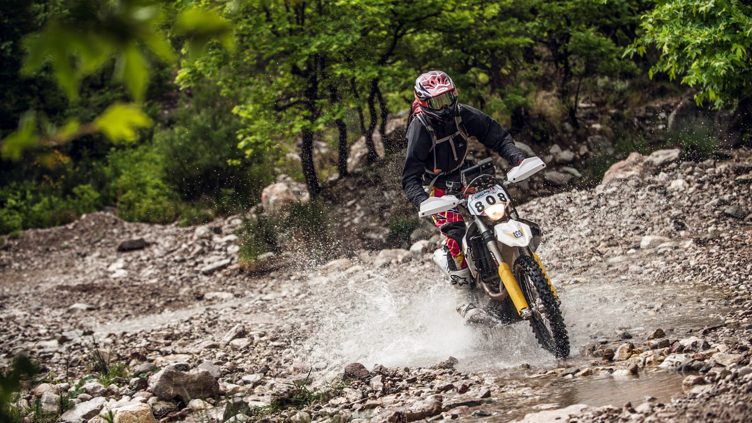 Tyler Bereman’s Island Hopper: When Motocross Meets Mermaid Dreams (And Red Bull Foots the Bill)